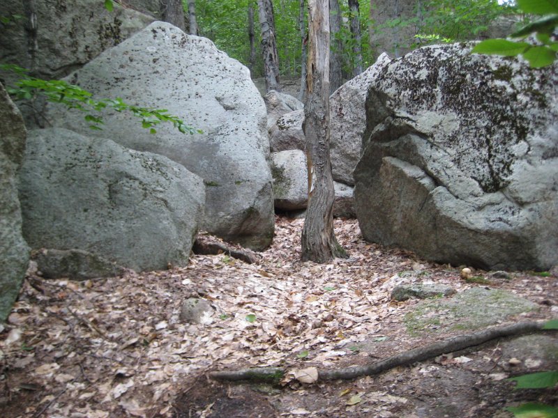 MtBayle (12).JPG - A tree found a place to grow between the boulders.